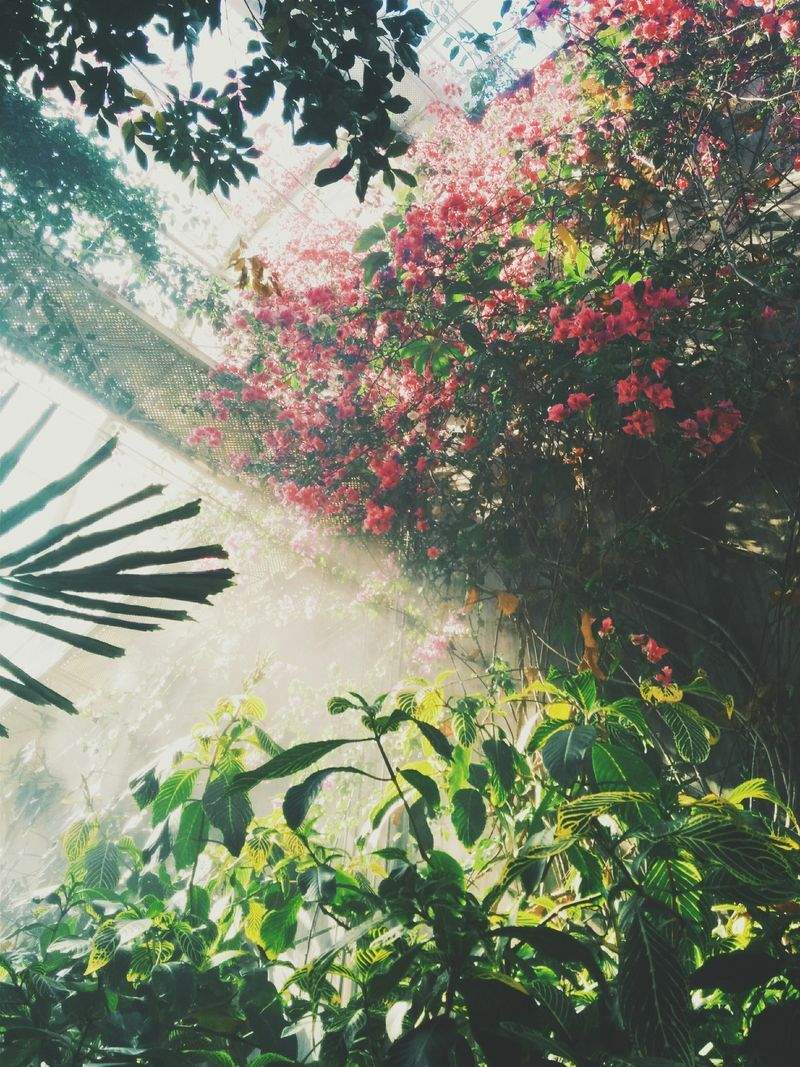 翠景庭園設計 3